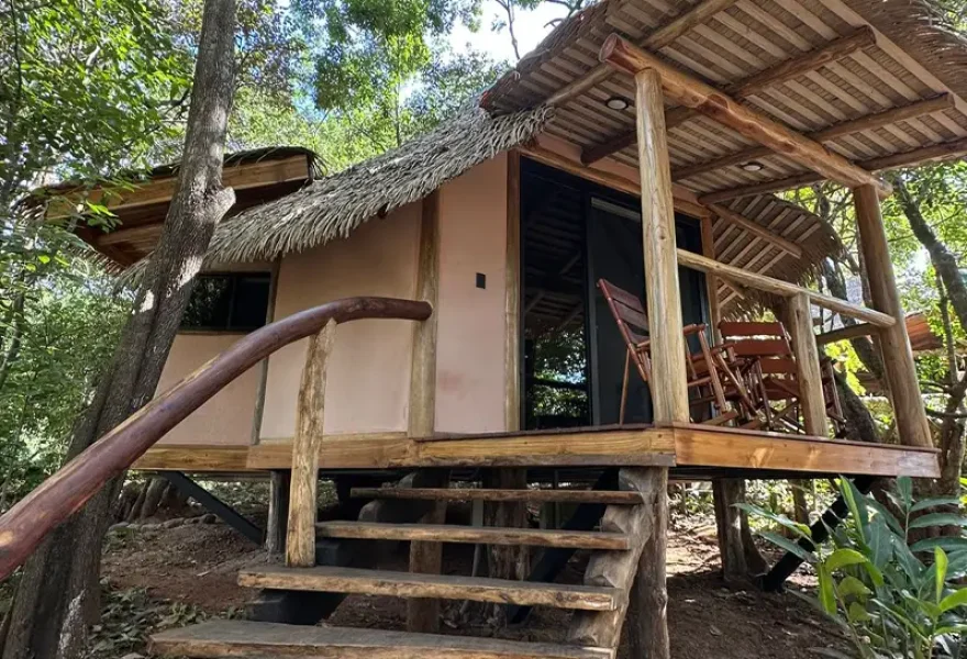 Ceiba - Tierra Encantada